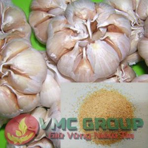 HÓA CHẤT THỦY SẢN BỘT TỎI